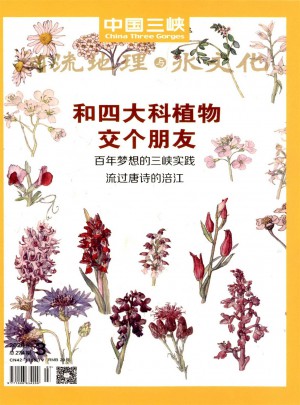 中国三峡建设杂志 
